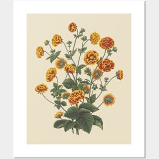 Marigold Flowers Vintage Botanical Illustration Posters and Art